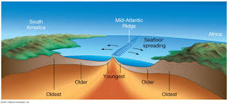 Sea Floor Spreading Seafloor Spreading Sea Floor Plate Tectonic Theory