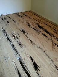 Pin On Termite Damage