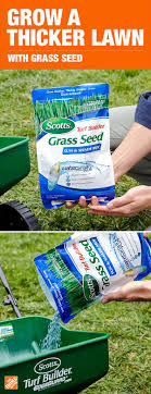 Grass Seed Plays An Important Role In Growing Thicker Greener Grass When Choosing Seed For Your Lawn Make Sure You Consider The Ty Lawn Care Grass Seed Lawn