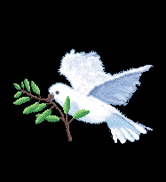 Https Encrypted Tbn0 Gstatic Com Images Q Tbn 3aand9gcrxivozsn7qjdyn Upi8xddkn5ws0mcffrxkg Usqp Cau