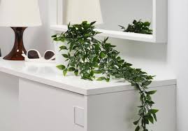 Plantes Et Fleurs Artificielles Ikea Fleurs Artificielles Fleurs Artificielles Ikea Plante