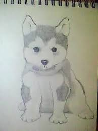 I Was Saw Husky So Cute Puppy I Have One Husky Husky Hond Puppy Husky