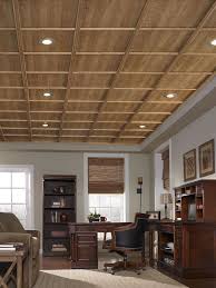 Drop Ceiling Alternative Ceiling Max And Ceiling Link Home Ceiling Ceiling Alternatives Dropped Ceiling