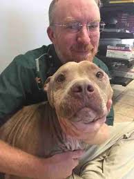 Vet Was Supposed To Euthanize Dog But Decided To Save Him Instead Dogs Pitbull Rescue Cute Animals