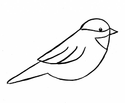 Dessins Facile A Faire Le Guide Pour Les Debutants Du Dessin Archzine Fr Dessins Faciles Dessin Facile Animaux Dessin Oiseau