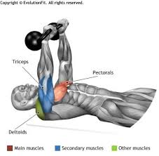 Chest Floor Press 2 Kettlebell Kettlebell Fitness Body Kettlebell Workout