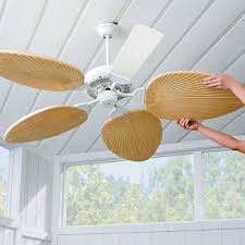 Robot Check Tropical Home Decor Tropical Ceiling Fans Beach House Interior
