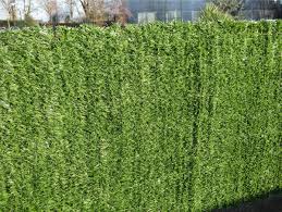 Haie Artificielle 2 Nuances H 1 50 X L 3 M Brico Depot
