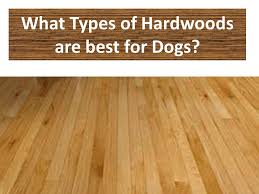 Best Hardwood Flooring For Dogs Types Of Wood Flooring Hardwood Floors Flooring