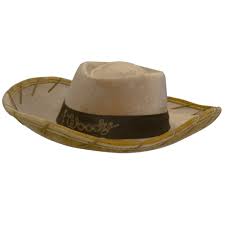 Elope Toy Story Woody Cowboy Hat Brown Cowboy Hats Woody Toy Story Kids Cowboy Hats
