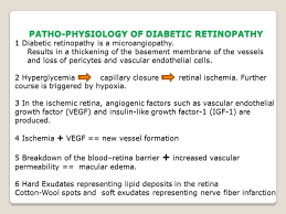 Effect Of Sorbitol On Retinal Capillary Yahoo Image Search Results Diabetic Retinopathy Physiology Vascular