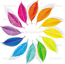 This Looks Really Cool O Color Wheel Art Color Wheel Design Color Wheel Projects