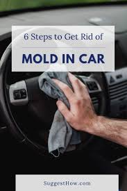How To Get Rid Of Mold In Car Get Rid Of Mold Car Smell Cleaning Car Upholstery
