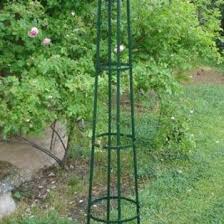 Tuteur Colonne Corset Pour Rosier Grimpant Met Afbeeldingen