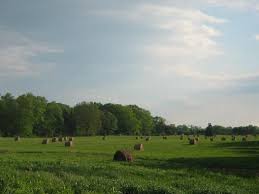 298 Acres Bealeton Va Property Id 371178 Land And Farm Fauquier County Fauquier County Virginia Warrenton