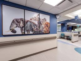The New Beaumont Pediatric Emergency Center In Royal Oak Opens July 16 And Will Feature 16 New Private Child Frien Pediatrics Behavioral Health Pediatric Care
