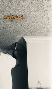 Paint With Oil Base Primer Popcorn Ceilings Thank You Best Investments Improve Work Experience