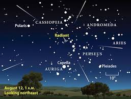 Perseid Meteor Shower Perseid Meteor Shower Meteor Shower Astronomy