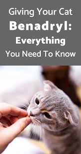 Giving Your Cat Benadryl Everything You Need To Know Cat Allergies Benadryl For Cats Cat Health