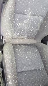 Mould Removal Burnley Accrington Rossendale G G Mobile Specialist Valeting Mold Remover Cleaning Mold Diy Molding