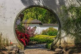 Pin Van Els Van Hoof Op Groningen Chinese Tuin Bamboetuin Tuin