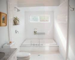 Large Tub Shower Combo Shower Tub Combination Bathroom Layout Traditional Bathroom