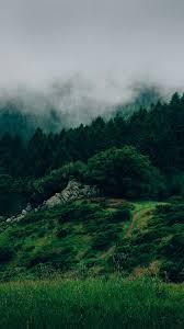 Wallpaper Pinterest Patriciamaroca Nature Iphone Wallpaper Iphone Wallpaper Preppy Nature Wallpaper