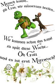 Https Encrypted Tbn0 Gstatic Com Images Q Tbn 3aand9gctbmmnuc9blfjsqfpz Twab3nwlpgemrhfrtg Usqp Cau