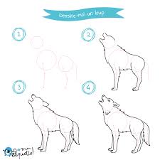 Les Animaux De La Montagne Dessin Loup Facile Dessin Facile Animaux Comment Dessiner Un Loup