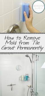 How To Remove Mold From Tile Grout Permanently Mold Remover Cleaning Mold Clean Shower Grout