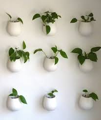 10 Creative Ways To Use Your High Ceilings Hanging Flower Pots Types Of Houseplants Plants