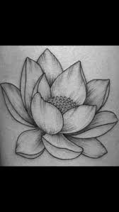 Lotus Flower Drawing Drawings Art Avec Images Dessin Fleur De Lotus Dessin De Fleur Dessin Floral