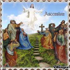 Https Encrypted Tbn0 Gstatic Com Images Q Tbn 3aand9gcriovpmalmd9sjh0v6lit6r5a3 Akj Esbgmg Usqp Cau