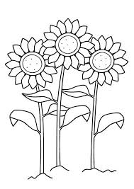 Coloriage De Tournesol Coloriage De Fleurs A Imprimer Coloriage Fleur Coloriage Dessin De Fleur