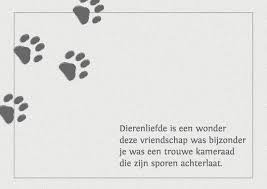 Condoleance Kaart Voor Een Hond Of Poes Condoleancekaarten Kaartje2go Honden Teksten Honden Gedichten Hondencitaten