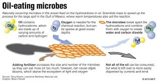 Oil Eating Microbes Have Worldwide Underground Connections With Each Other Amazing Science Environmental Microbiology Microbiology Environmental News