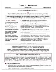 Coo Resume Sample Page 1 Resume Examples Executive Resume Resume Writing