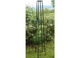 Tuteur Colonne Corset En Acier Rosier Grimpant Tuteur Rosier Grimpant Pergola Acier