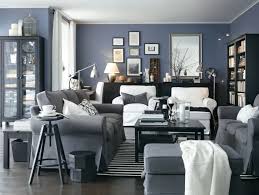 Ikea Us Furniture And Home Furnishings Ikea Living Room Gray Living Room Design Living Room Grey