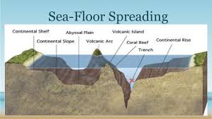 Image Result For Sea Floor Spreading Earth Science Continental Shelf Sea Floor