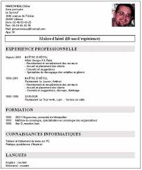 Cv Type Mcdo Modeles De Lettres Cv Type Cv Gratuit