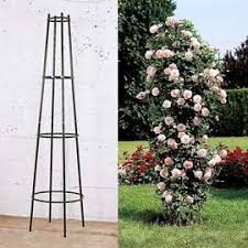 Tuteur Colonne Corset Rose Garden Design Plant Decor Garden Arches