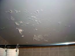 Good Questions Advice For Peeling Paint On Ceiling Mold In Bathroom Bathroom Ceiling Paint Peeling Paint