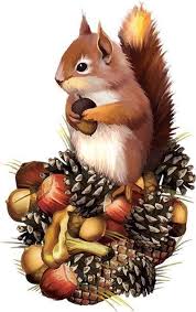 Epingle Par Nicole Brunner Sur Casse Noisette Dessins Mignons Art Des Animaux Sauvages Dessin Colombe