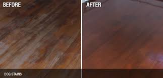 Dog Stains Repaired Refinishing Hardwood Floors Refinishing Floors Hardwood Floors