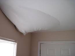 Get A Roof Rake To Prevent An Ice Dam Leaking Roof Roof Ice Dams