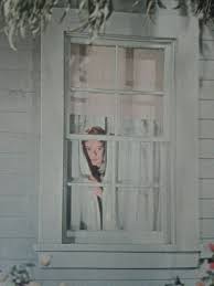 Nosy Neighbours Nosy Neighbors Nosey Neighbors Porch Windows