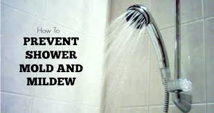 How To Get Rid Of Mildew And Keep It From Returning Mold In Bathroom Get Rid Of Mold Shower Mold