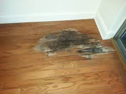 Easy Tips Removing Water Damage From Wood It S Works Flooring Hardwood Hardwood Floors