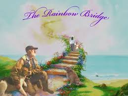 Pets In Heaven Owners Reunite With Their Lost Pets At The Rainbow Bridge Rainbow Bridge Dog Memorial Dog Memorial Tattoos